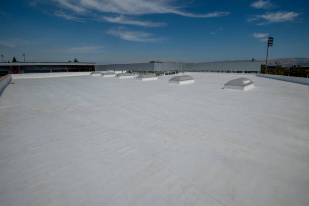 Best Gutter Installation and Repair  in Flagstaff, AZ