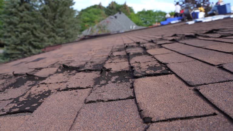 Flagstaff, AZ Roofing Services Company