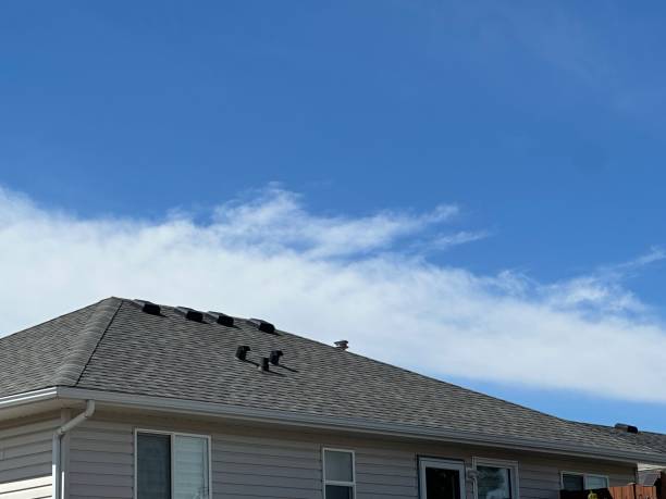Roof Coating Services in Flagstaff, AZ